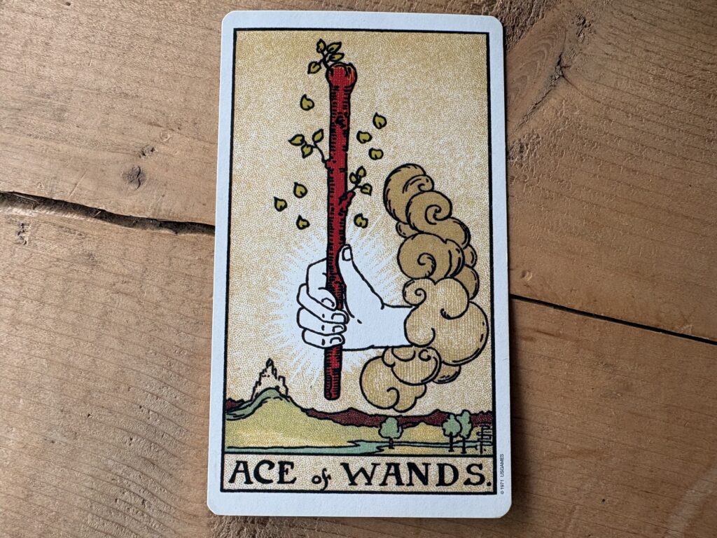 Ace of Wands card